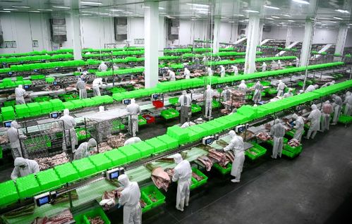 2020，南陽城鄉巨變 三起來戰略如何勁推城市出新出彩